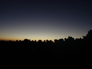 UGH! Crowds at sunrise... the Darjeeling "must do"